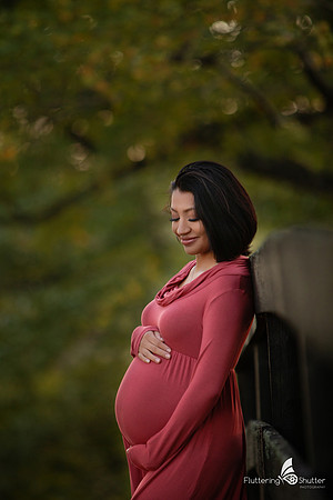 Maternity- Morven Park- Leesburg