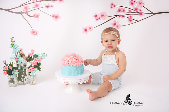 Baby- Purcellville- Cake Smash